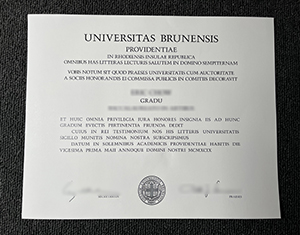 Brown University diploma-1
