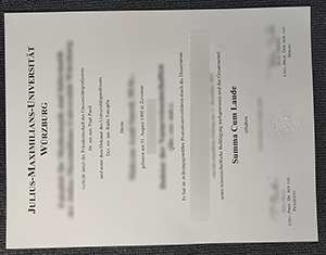 Julius-Maximilians-University WüRzburg1