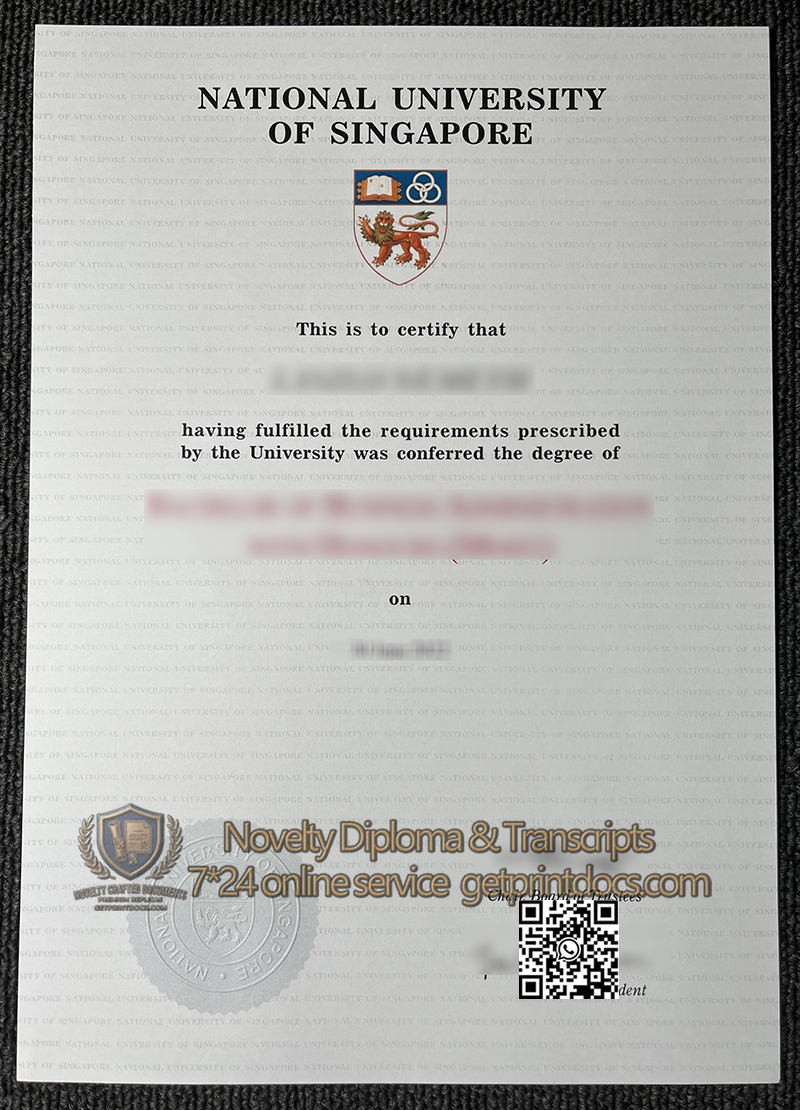National University of Singapore diploma