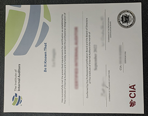 The Institute of Internal Auditors Certificate1