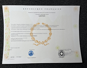 Université Grenoble Alpe diploma-1