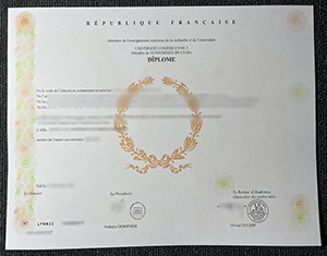 Universite Lumiere Lyon II diploma-1