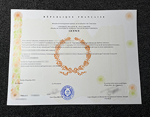 Université Toulouse III Paul Sabatier diploma1