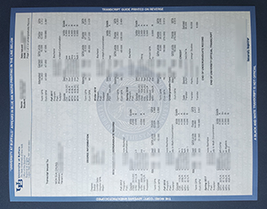 University at Buffalo transcript-1