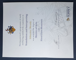 University of Surrey degree Certificate-1