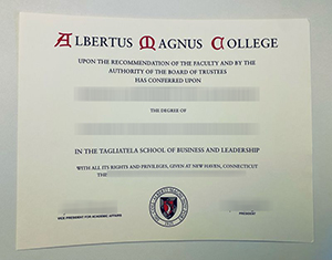 Albertus Magnus College degree-FI