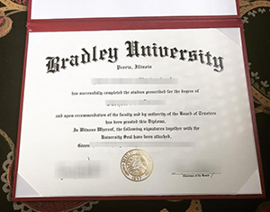 Bradley University diploma-FI