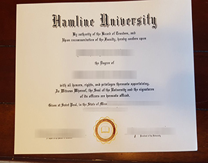 Hamline University degree-FI
