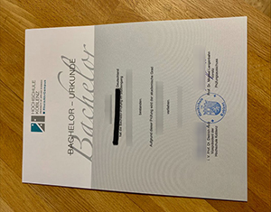 Hochschule Koblenz diploma-FI