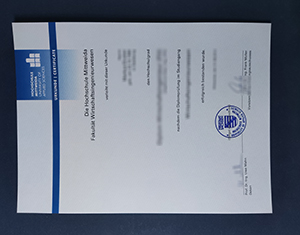 Hochschule Mittweida diploma-FI