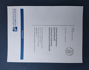 Hochschule Schmalkalden diploma-FI