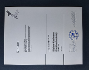 Hochschule Wismar diploma