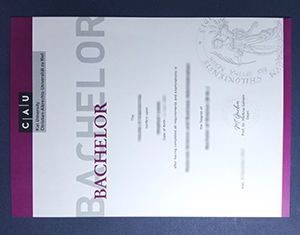 Kiel University diploma-FI