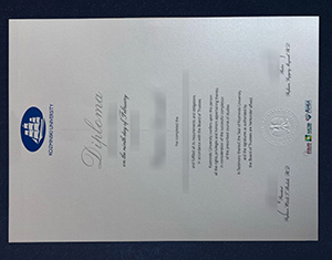 Kozminski University diploma-FI