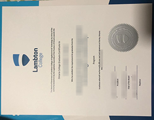 Lambton College diploma-FI