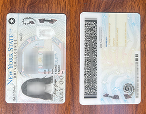 New York State Driver License-1