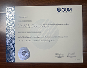 Open University Malaysia diploma-FI