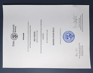 Philipps University of Marburg diploma