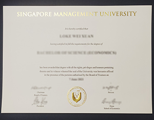 Singapore Management University degree-FI