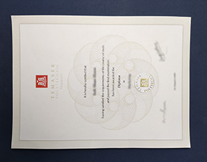 Temasek Polytechnic diploma-FI