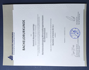 Universität Paderborn diploma-FI