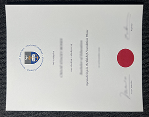 University Of Cape Town Diploma-FI