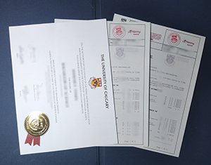 University of Calgary diploma and transcript-FI