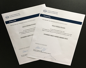 University of Hohenheim diploma-FI