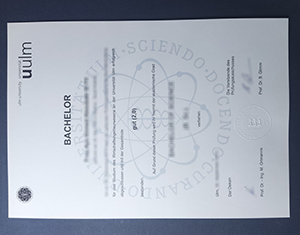 University of Ulm diploma