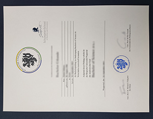 University of Wuppertal diploma