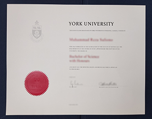 York University diploma-FI